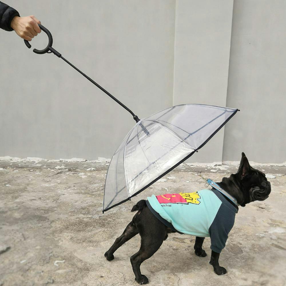 쏘울펫 C자 타입 고급형 우산 2번째 이미지
