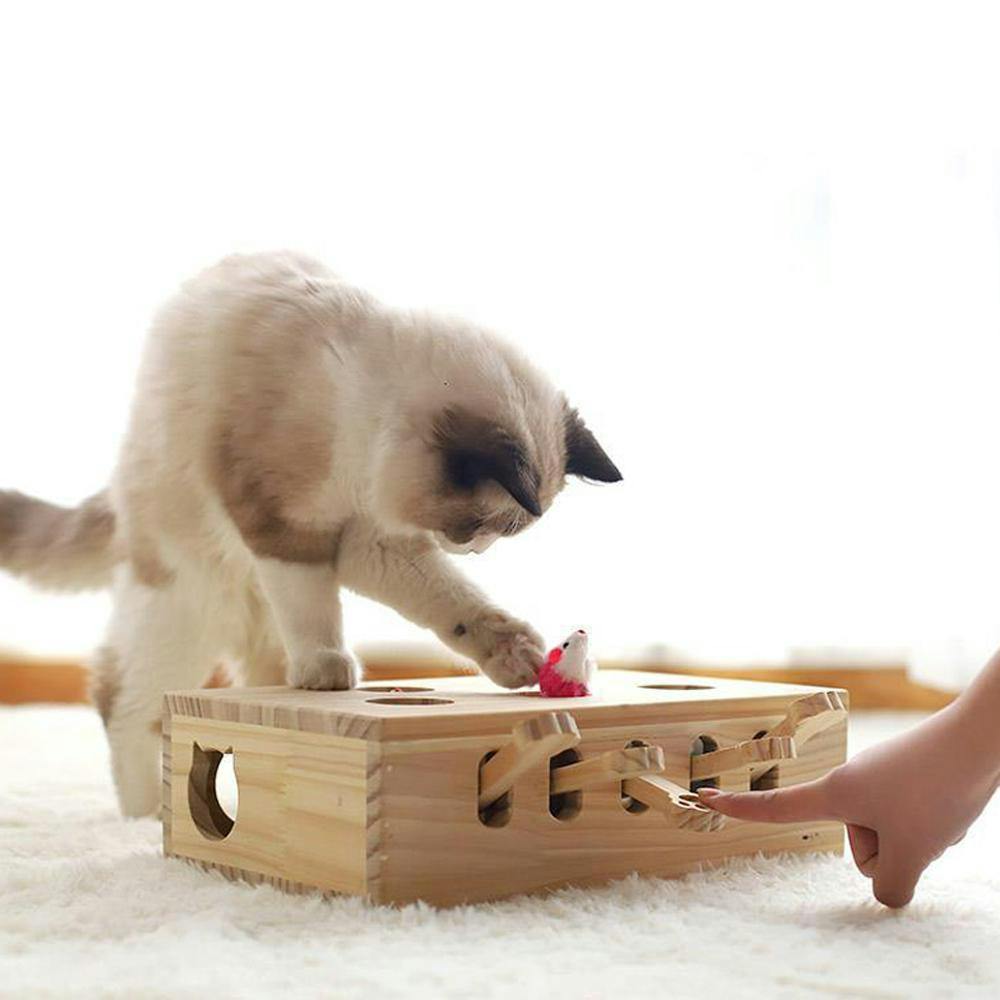 고양이 두더지잡기 원목 장난감 캣펀치 냥냥펀치 놀이 1번째 이미지