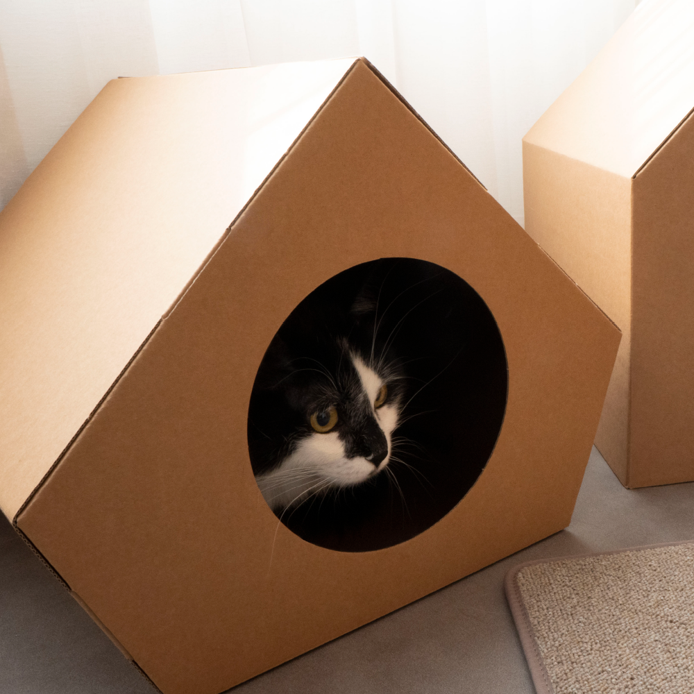 코쿠모노 골판지 숨숨집 고양이 하우스 오각 3번째 이미지