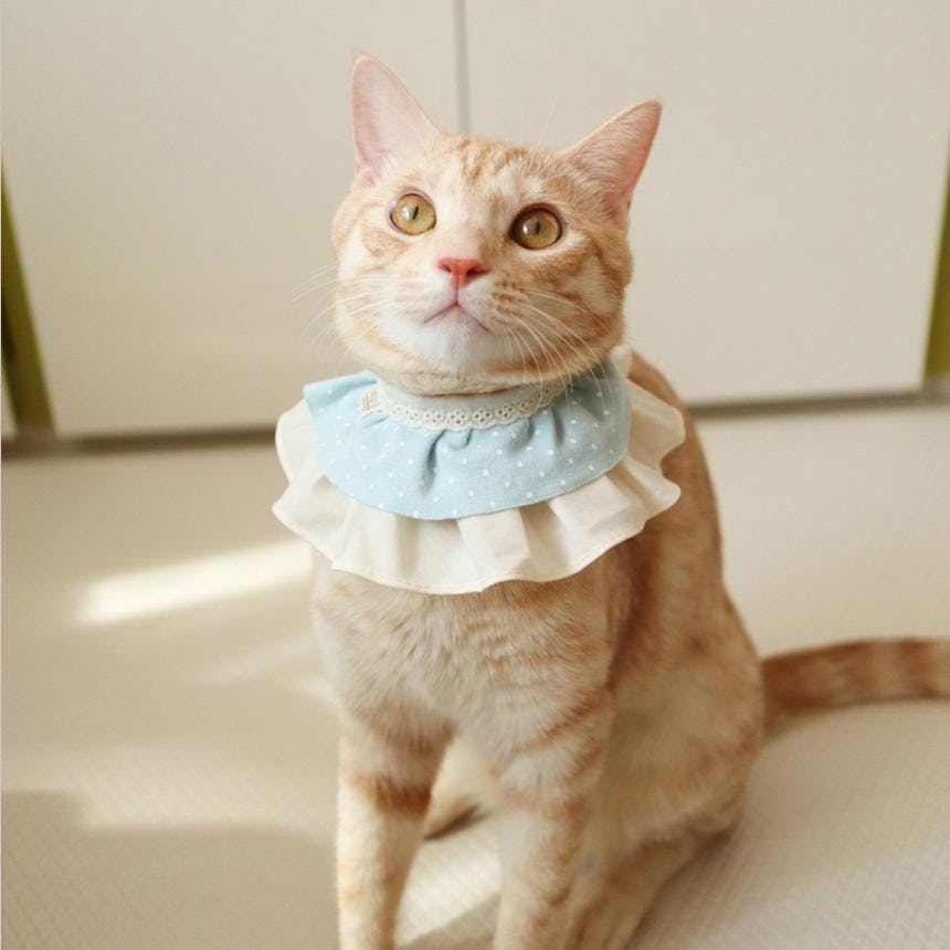개달당 오가닉 베이비 3단 고양이케이프 강아지케이프 3번째 이미지