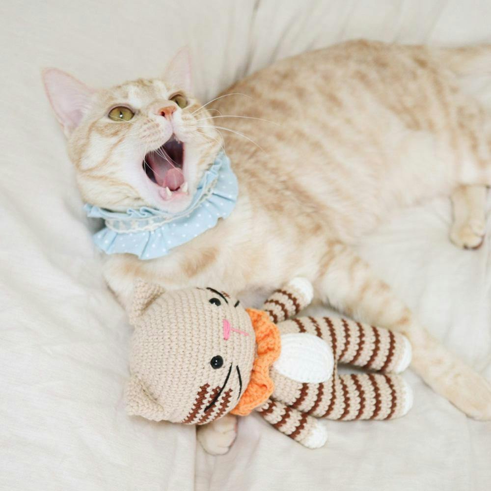 개달당 코숏 치즈 고양이 애착인형 고양이장난감 뜨개인형 1번째 이미지