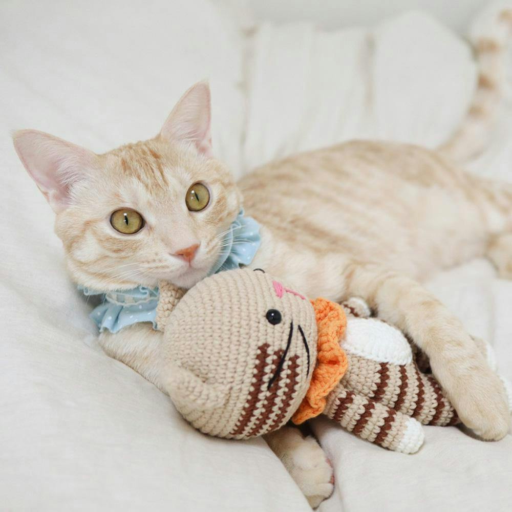 개달당 코숏 치즈 고양이 애착인형 고양이장난감 뜨개인형 3번째 이미지
