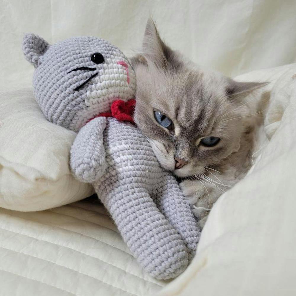 개달당 회색 고양이 애착인형 고양이장난감 뜨개인형 1번째 이미지