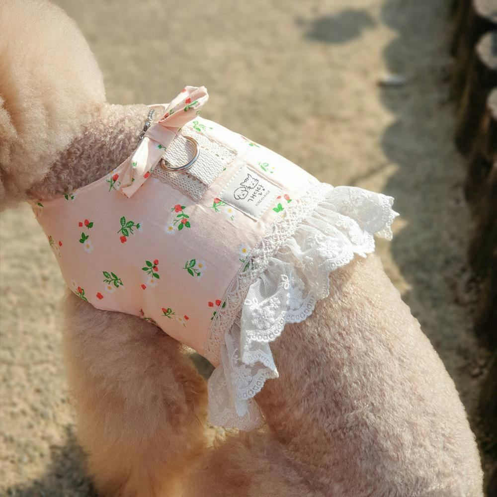 개달당 산수유 벨크로 강아지 하네스 단품 (S/M/L) 1번째 이미지