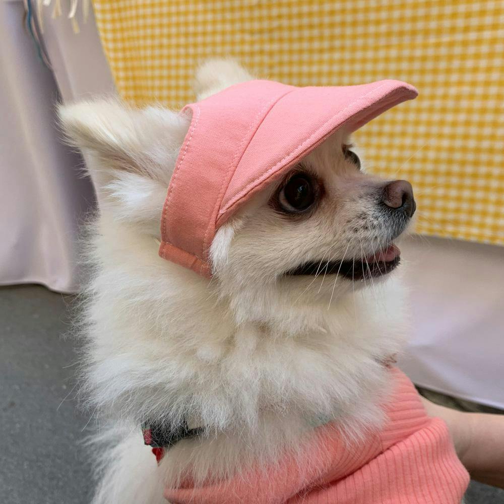 개달당 와츄원 컬러 강아지 선캡 모자 핑크 (S-M/L-XL) 4번째 이미지