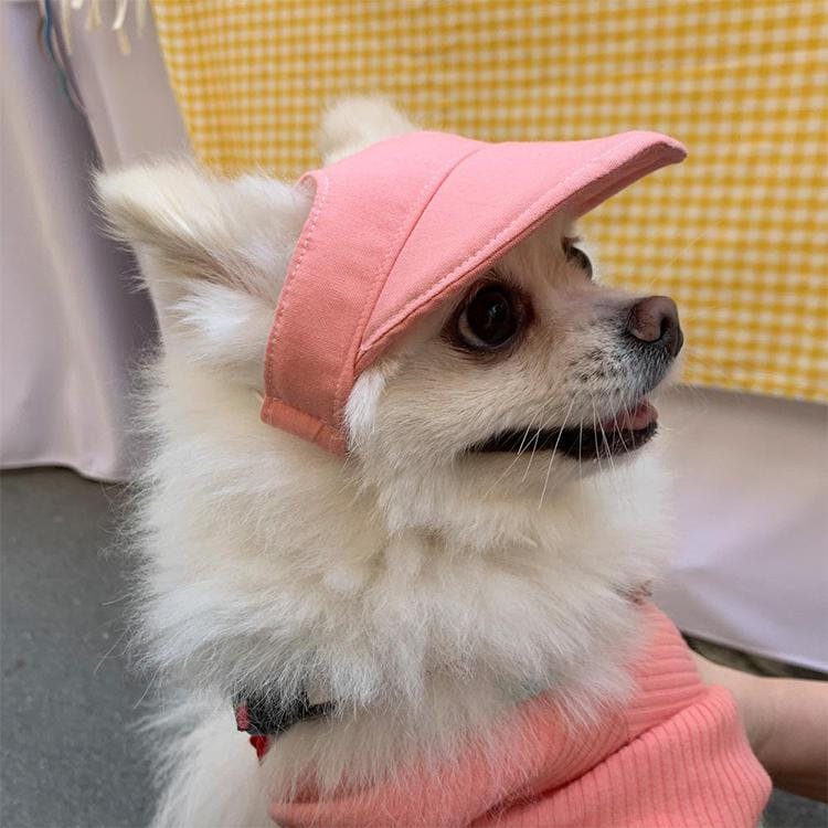 개달당 와츄원 컬러 강아지 선캡 모자 핑크 (S-M/L-XL) 1번째 이미지