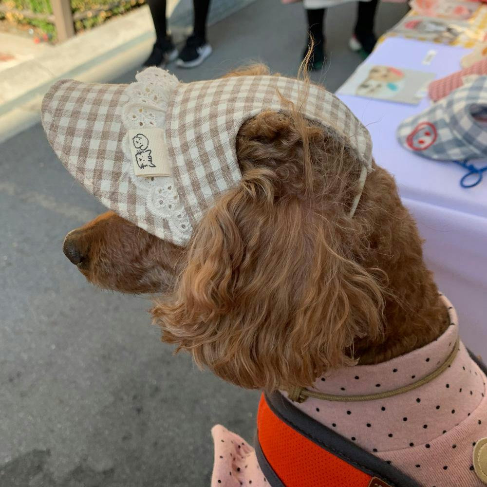 개달당 파스텔 체크 레이스 강아지 선캡 모자 옐로우체크 (S-M/L-XL) 4번째 이미지