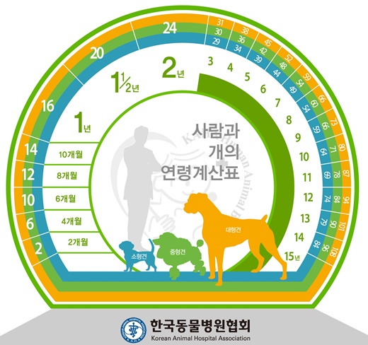 사람과 개의 연령 계산표 (강아지 나이 계산법)