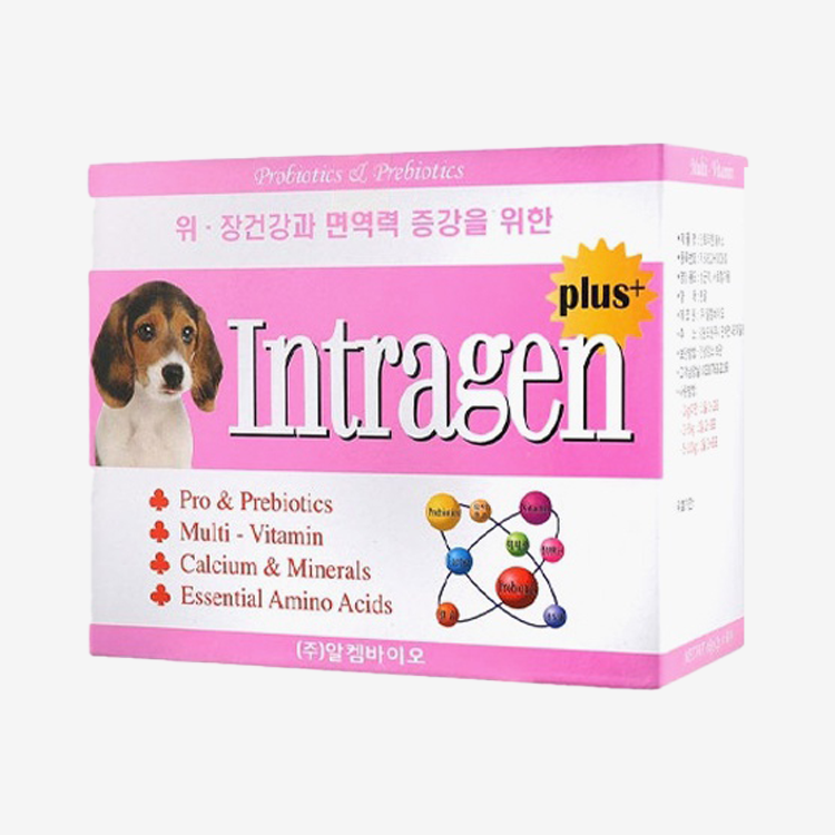 인트라젠 플러스 유산균