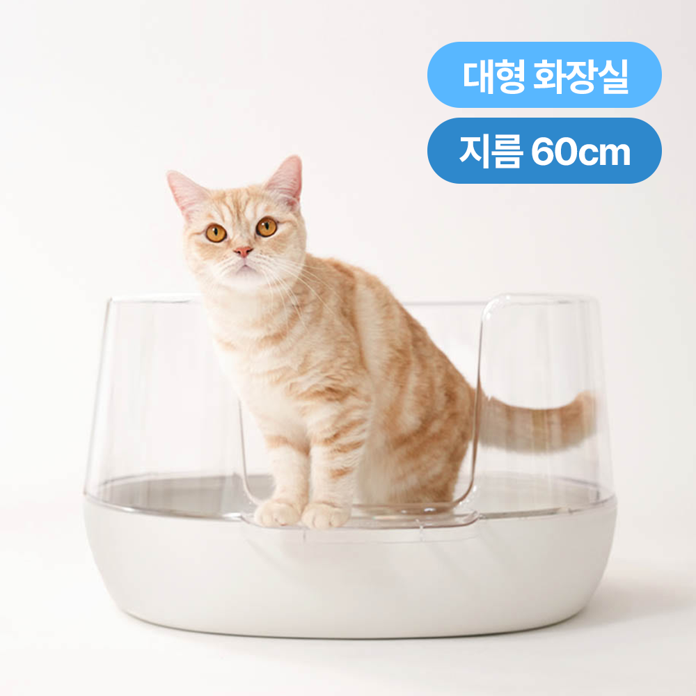 고양이 화장실 훈련